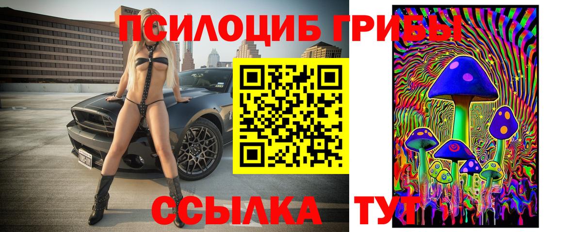 Галлюциногенные грибы Magic Shrooms  Псилоцибиновые грибы Cubensis  Вход с VPN  Котовск 