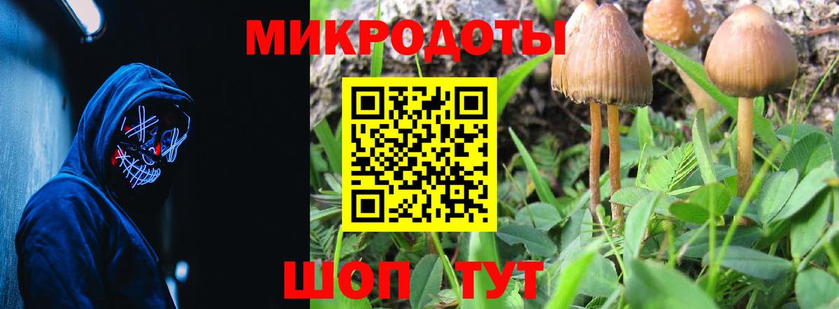 Галлюциногенные грибы Magic Shrooms Котовск